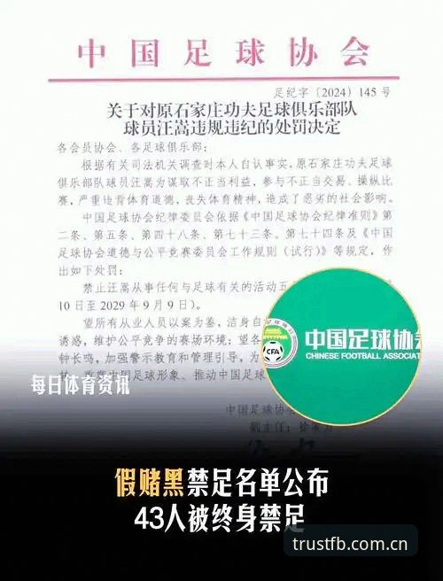 FB体育与爱游戏对比 足协禁足名单与FB体育平台体验:传统足球乱象vs现代体育平台正规性对比